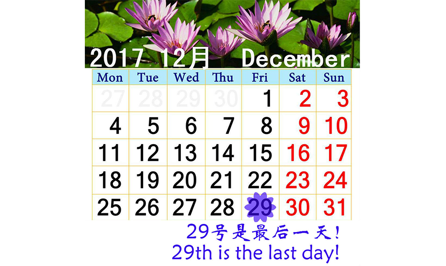 <b>Notice！29th Dec Is The Last Day!</b>
